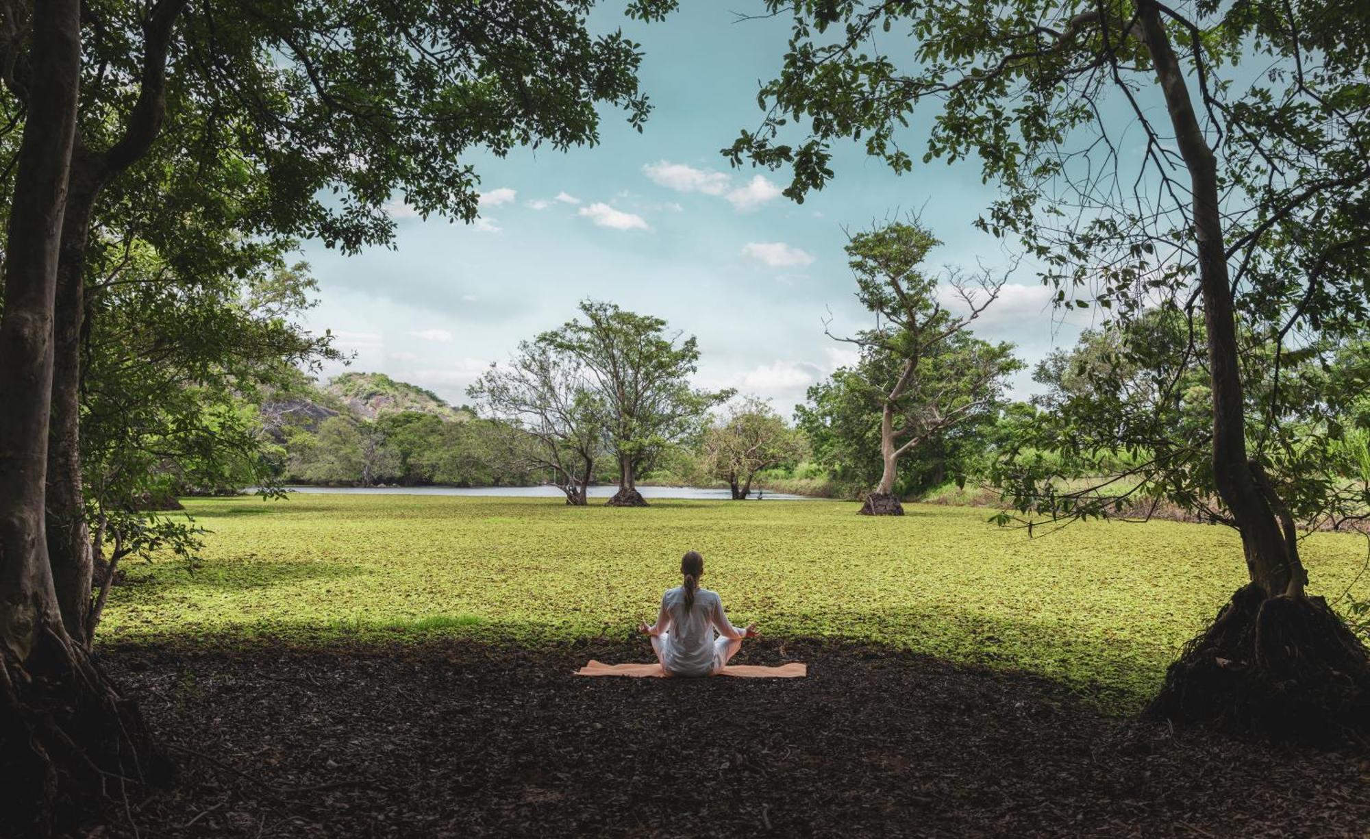 Ayugiri Ayurveda Wellness Resort Sigiriya Exterior photo